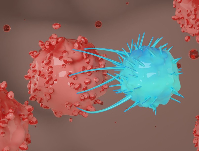 immunterápia car-t kezelés rák hogyan