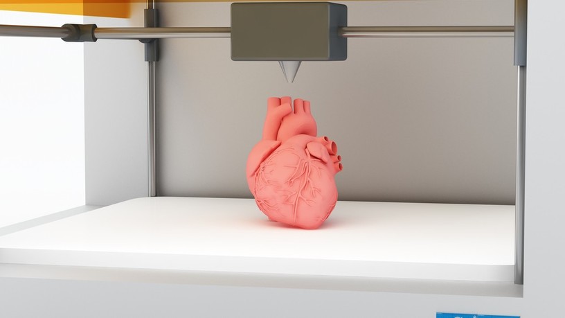 3D-s szív, szerv, átlátszó, német, kutató, új, technika