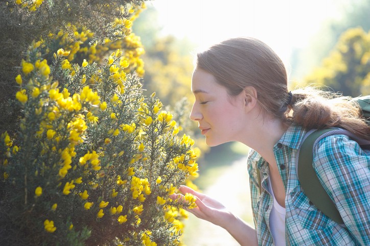Lássuk, mi minden jelenthet még veszélyt az egyik legfontosabb szervünkre, az orrunkra!