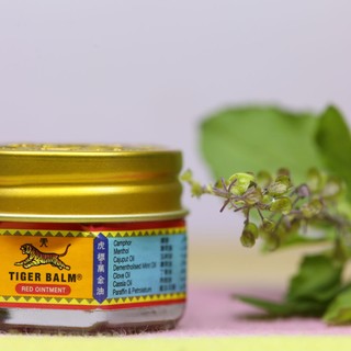 Tigrisbalzsam: kis tégely, ami generációkat gyógyított – ezért keresik még ma is sokan című cikk nyitóképe