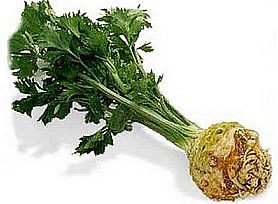 Zöldségekkel a bél daganatai ellen?