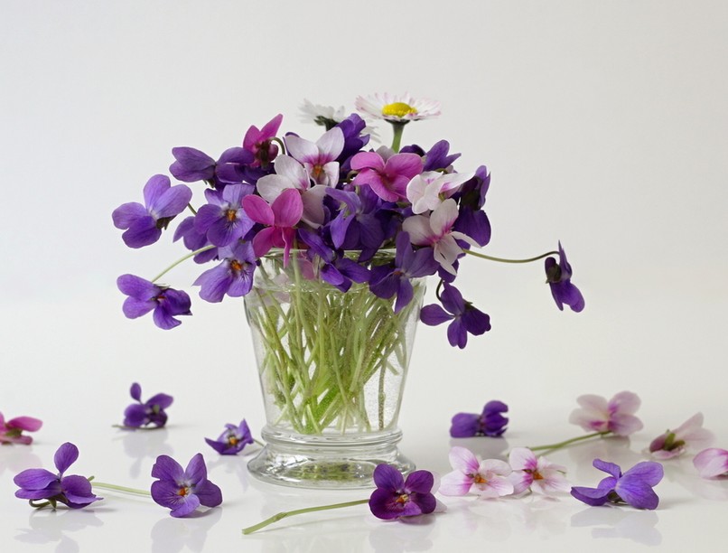 ibolya gyógyhatásai, ibolyaecet, ibolyaszirup