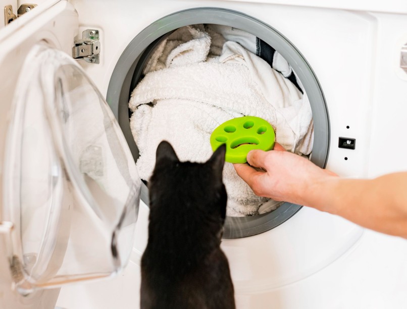 hogyan állatszőr eltávolít mosás