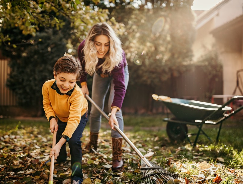 kullancs, ősz, kert, fsme-vírus