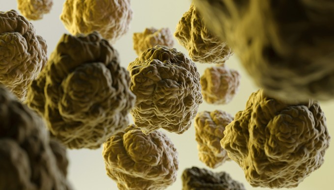 Mennyit ér valójában a koleszterinszint figyelése a vérben? című cikk nyitóképe