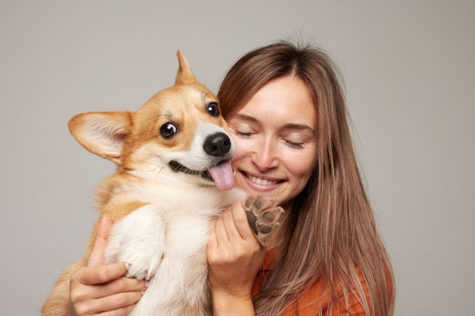 Hogyan alakítson ki vagy mélyítsen el erős kapcsolatot a kutyájával? című cikk nyitóképe