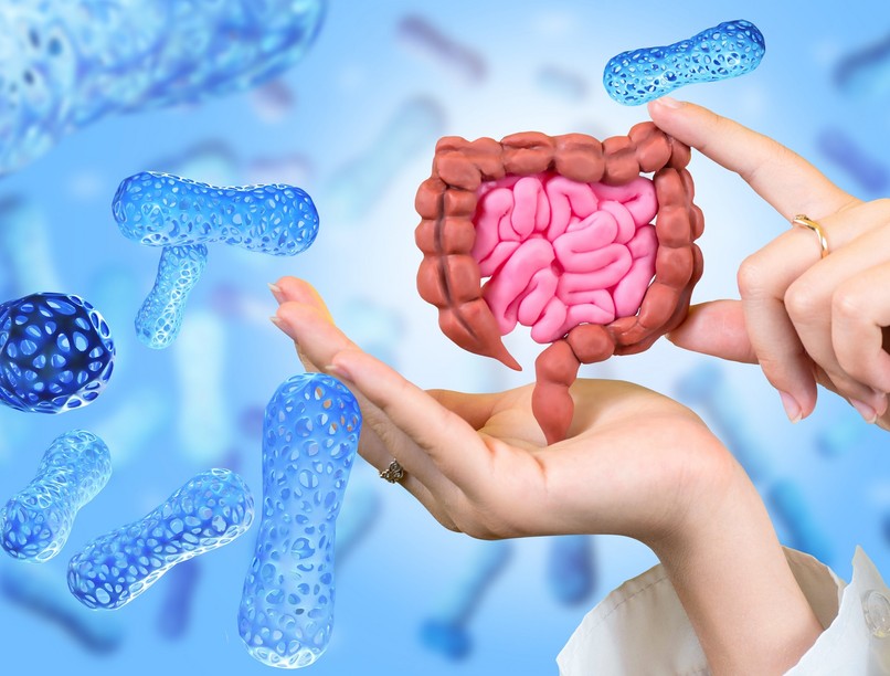 milyen ételszínezékek, adalékok károsíthatják a beleket