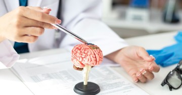 Az Alzheimer-kór rejtélyesebb, mint eddig hittük – új kutatás tárta fel a háttérben zajló folyamatokat