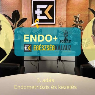 Endometriózis kezelés lépésről lépésre! Van élet a diagnózis után - ENDO+ videós podcast című cikk nyitóképe
