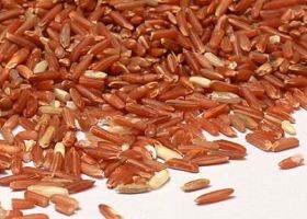 Vörös rizs - és koleszterincsökkentés