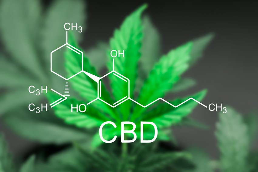 Napjainkban a CBD (cannabidiol) tartalmú étrend-kiegészítők világszerte növekvő népszerűségre tesznek szert, egyre több CBD-tartalmú készítmény érhető el különféle e­gészségügyi problémára. Az étrend-kiegészítőkben kizárólag a kendermag és annak feldolgozásával nyert termékek (pl. kendermagolaj) használhatók fel, amennyiben a CBD-tartalom nem haladja meg a természetesnek tekinthető 25 mg/kg határértéket.