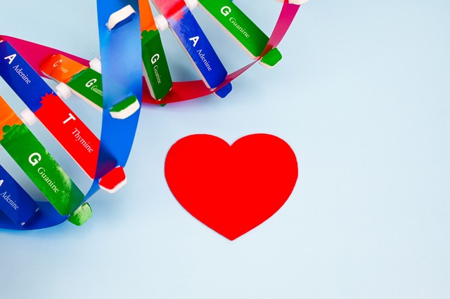 Szívbetegség: öröklött végzet, vagy tehetünk ellene? Ezzel befolyásolhatja