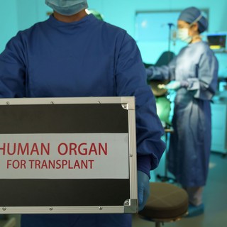 Szervátültetéssel a halhatatlanság felé? Vajon lehetséges? című cikk nyitóképe