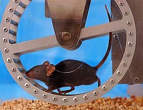 A mozgás csökkentheti a neuropátiás fájdalmat!