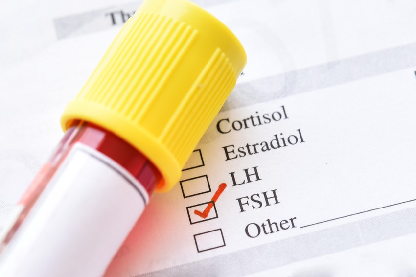 Ezért nélkülözhetetlen a családalapításhoz a normális FSH szint