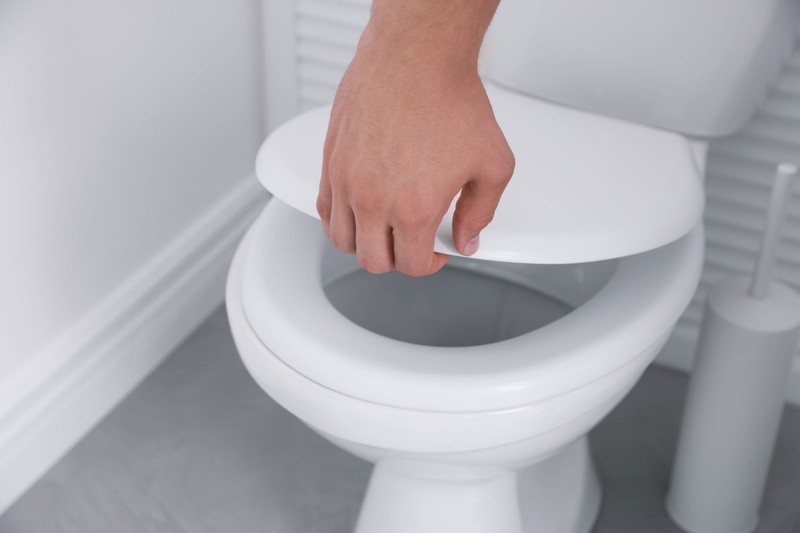 Elég egy marék belőle: itt egy régi házi trükk, amitől ragyogni fog a WC!