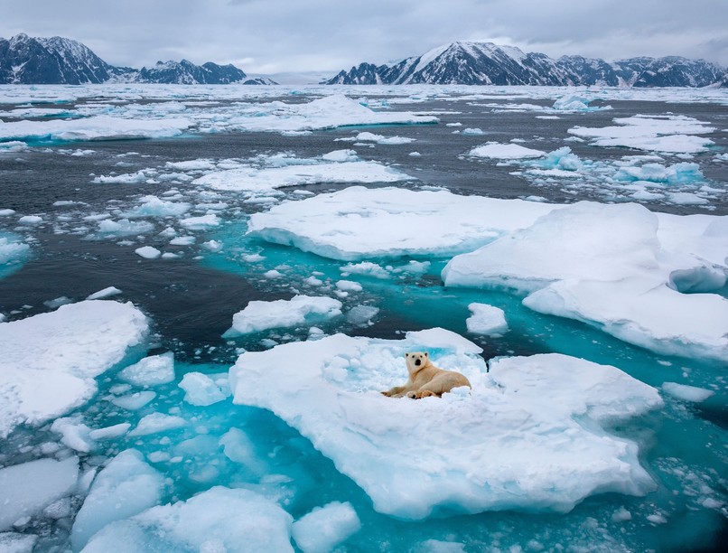 klíma válság éghajlat hírek