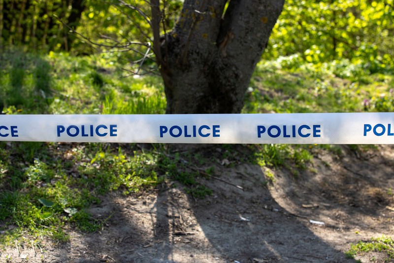 Hátborzongató részletek: először egy szekrényben rejtette el, majd  vidékre vitte az amerikai nő holttestét az ír férfi