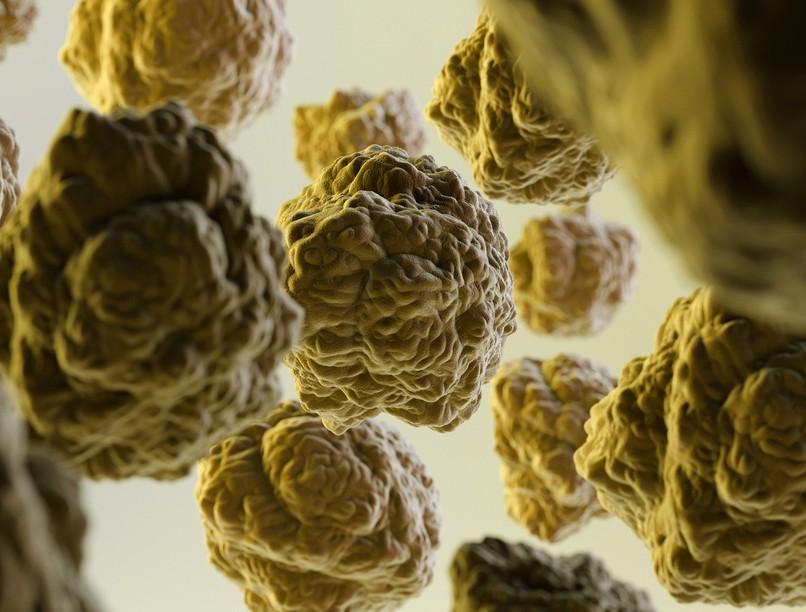 összkoleszterin koleszterinszint mérés