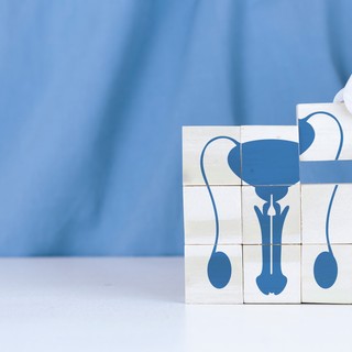 Priapizmus: tünetei, vizsgálata és kezelése című cikk nyitóképe