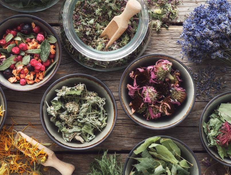 felfekvés, aloe vera, gyógynövény, természetes gyógymód