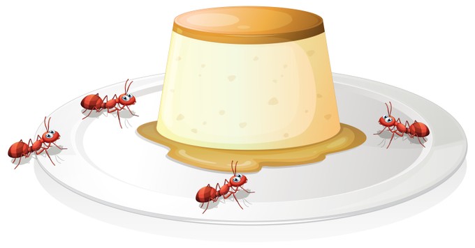 Hangyajoghurt: 4 hangya segítségével támasztották fel a Balkán elfeledett joghurtreceptjét című cikk nyitóképe