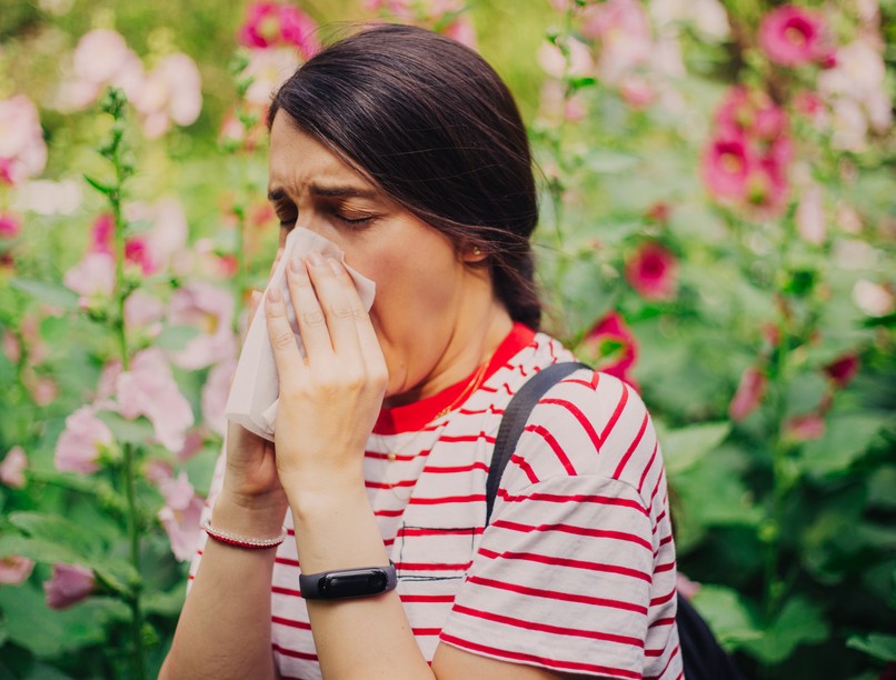 allergia, szénanátha, tüsszögés, orrfolyás