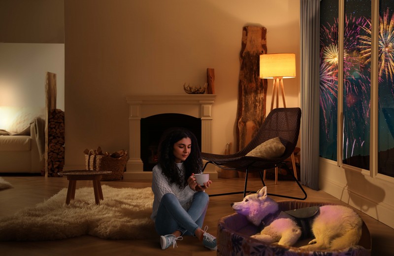 Szilveszter: ha nem pánikol a kiskedvence, még nem jelenti azt, hogy nem fél