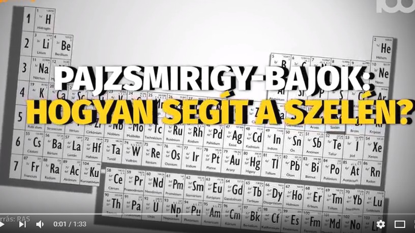 szelen_