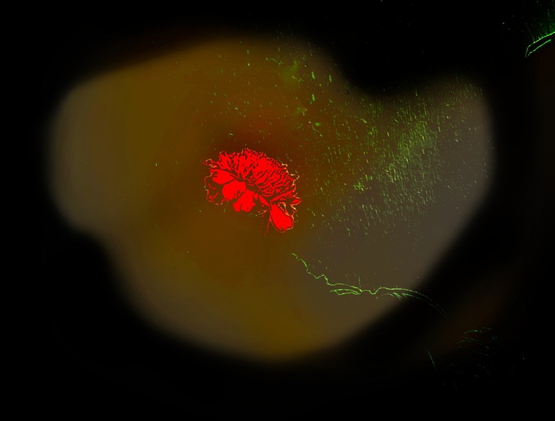 daganatok rák ellen immunitás zeaxantin