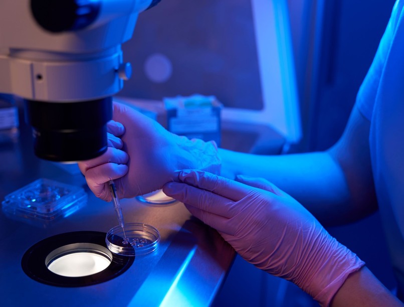 bőrsejt megtermékenyíthető petesejt kutatás