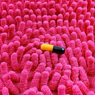 Mit üzen a bélrendszer az agynak? Így hat a bél-agy tengely a mentális egészségre című cikk nyitóképe