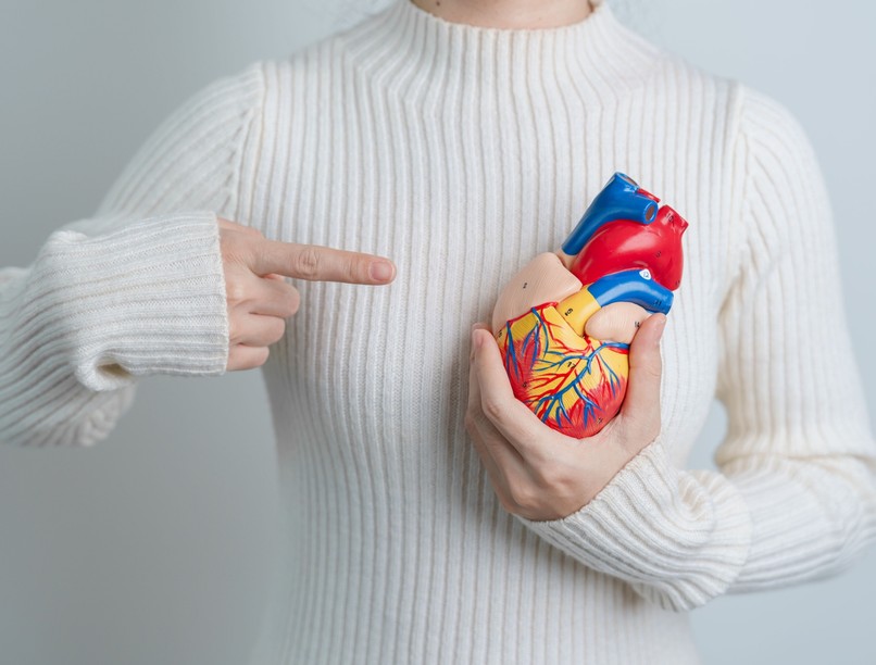 tévhit, szív-és érrendszer, magas vérnyomás, koleszterin, pulzus