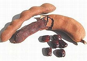 Datolyamaggal a sérült idegekért?