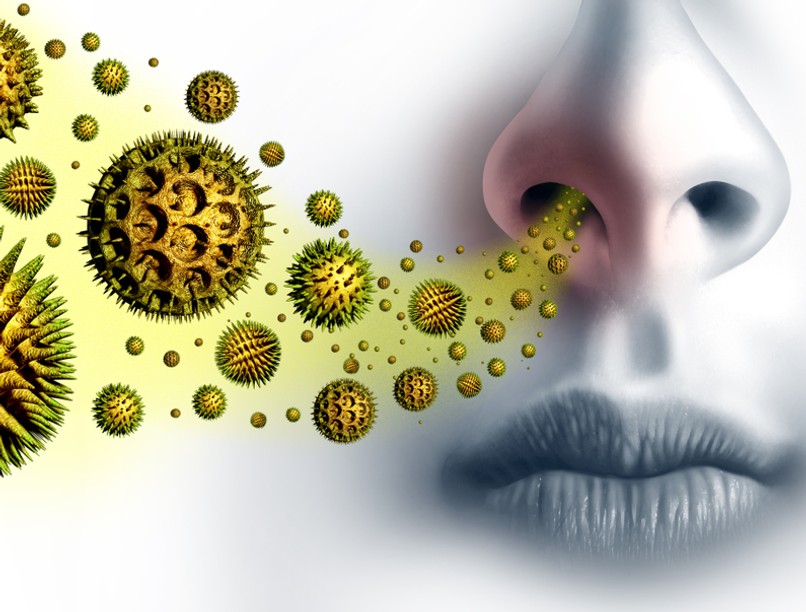 Nyakunkon az pollenszezon: ezt tegye allergia ellen!