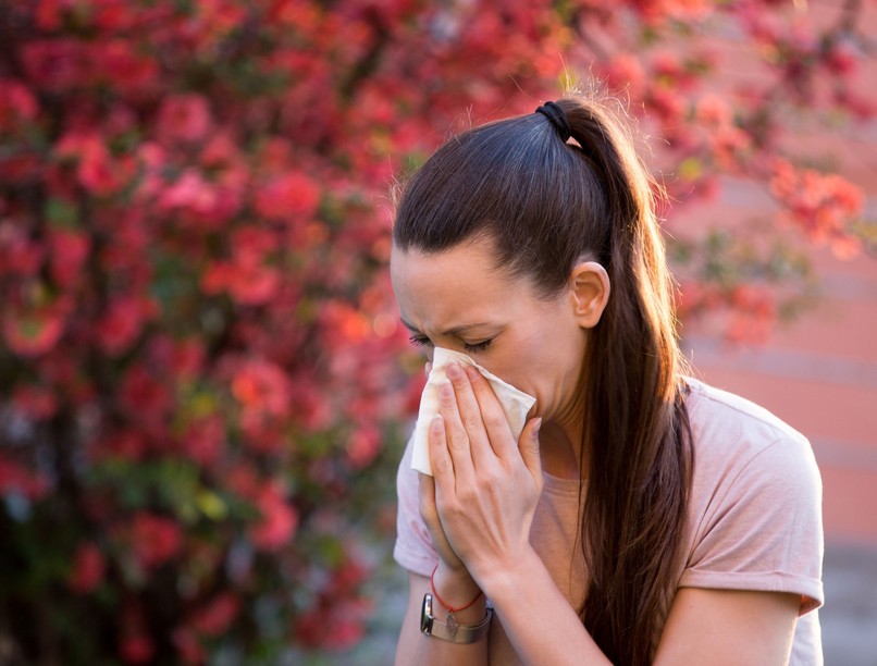 pollen allergia szezon