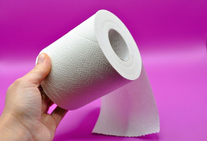 Nem vicc: WC-papírral is távol tarthatja a szúnyogokat