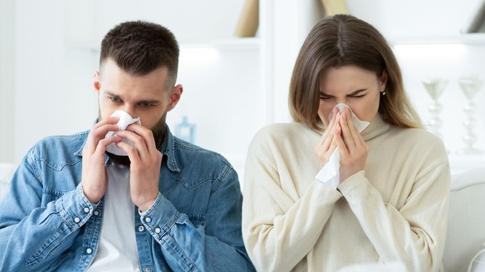 Allergia férfiaknál és nőknél: miért érinti másképp az allergia a férfiakat és a nőket? című cikk nyitóképe