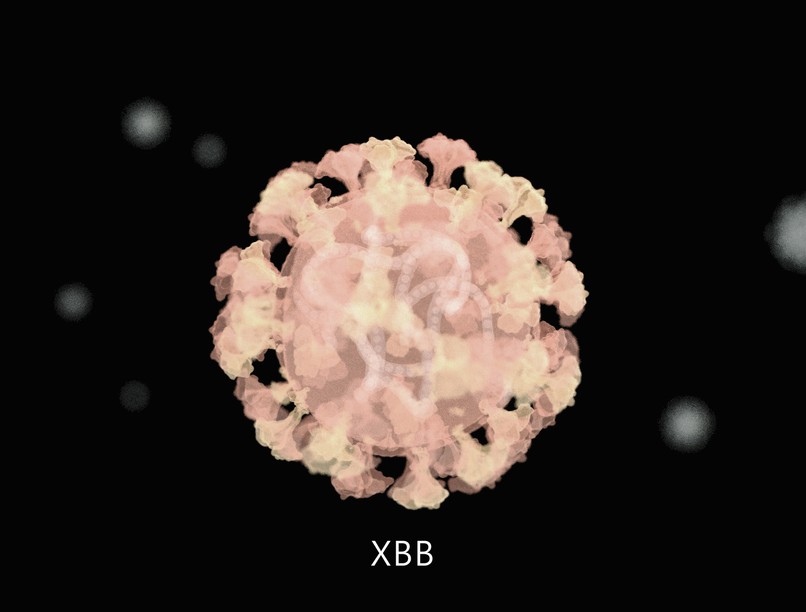 omikron, omikron alvariáns, koronavírus, covid, XBB