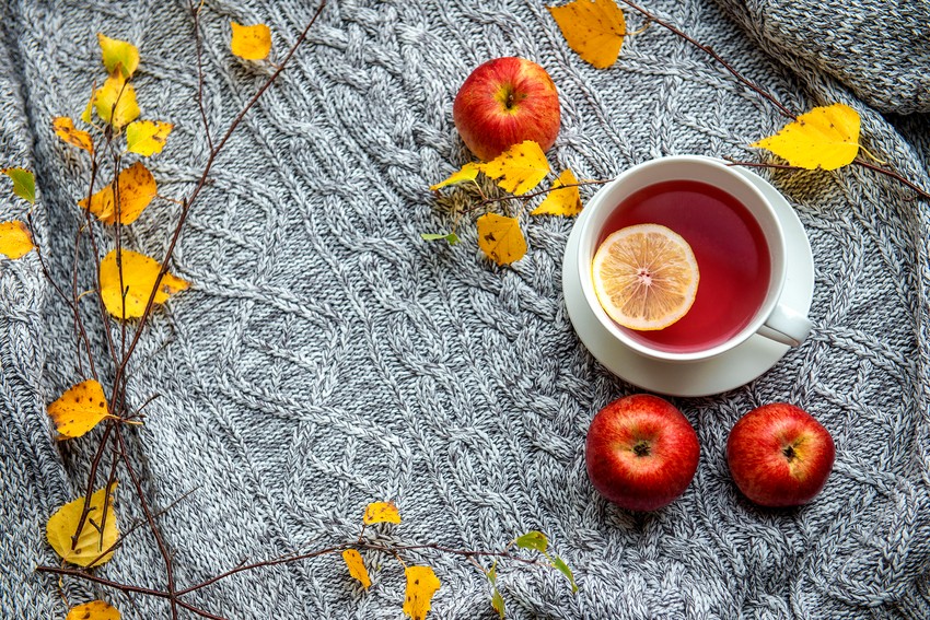 Puffadt has, kaparó torok, hólyaghurut – az orvostól kapott javallat kiegészítésére összeállíthatunk egy házipatikát olyan gyógynövényekből, amelyek a leggyakoribb panaszokra adnak megoldást.