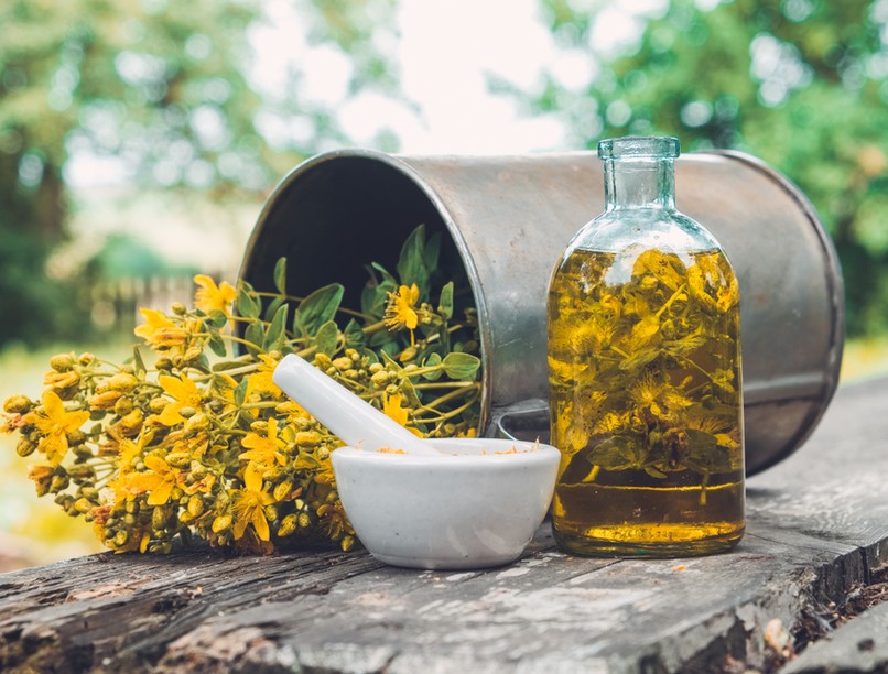 orbáncfű, stressz, gyógynövény, antibakteriális