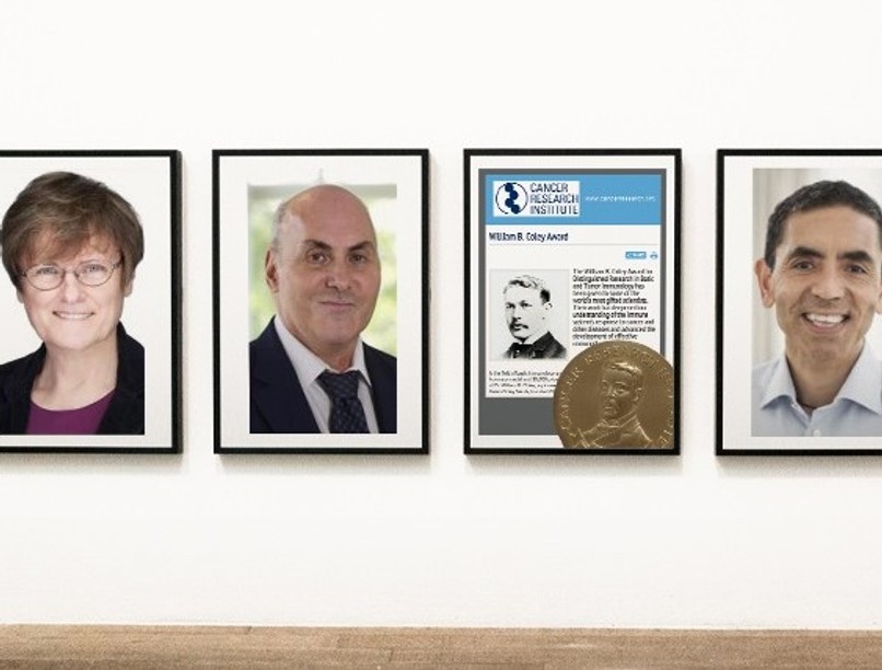 Karikó Katalin, mRNS, William B. Coley-díj, immunrendszer, rákkutatás