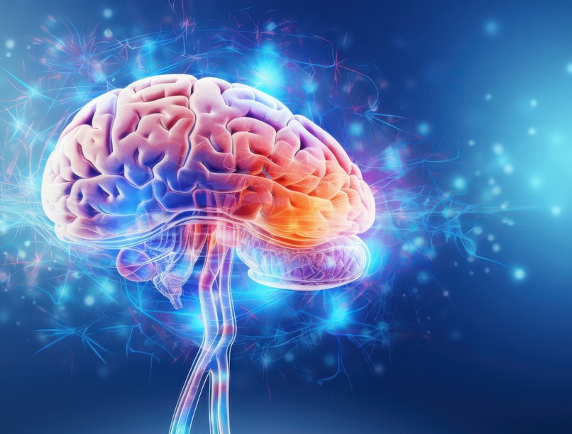 ismeretlen agyterület magyar kutatás hírek depresszió