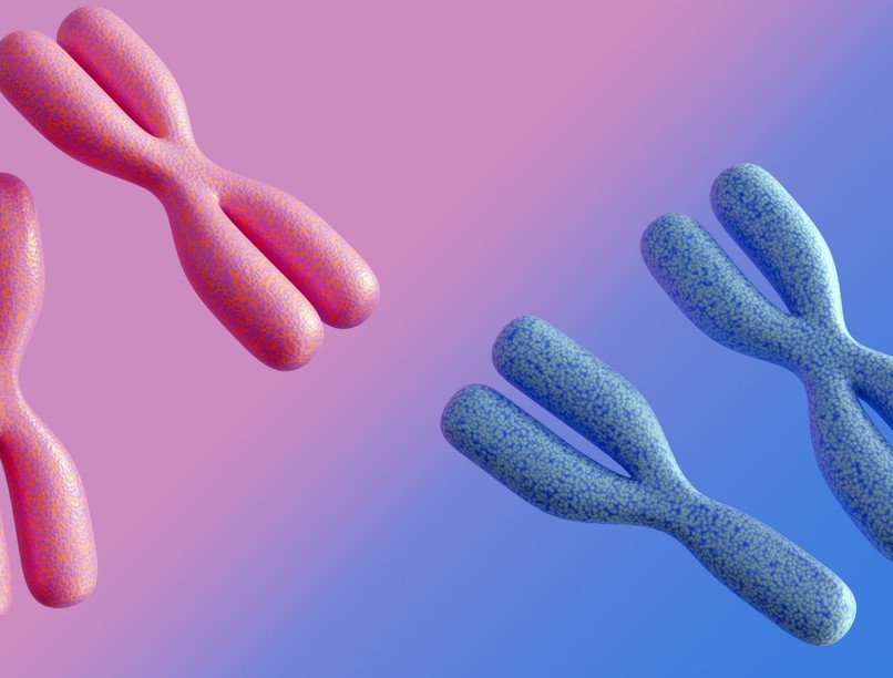 mitől függ lány fiú gyerek