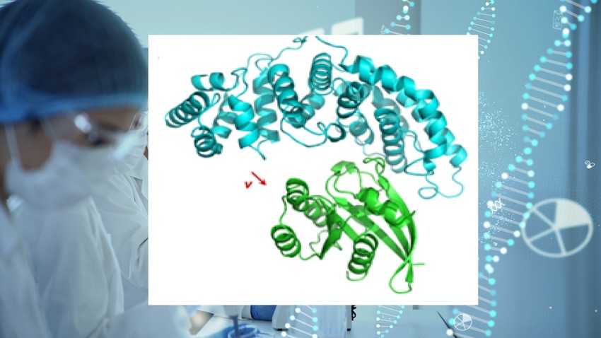 1 ábra - Forradalmian új megközelítés született a legsúlyosabb rákok gyógyítására