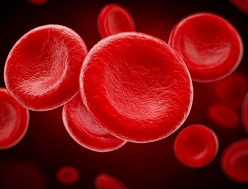 Mit jelent vörösvértest-térfogat MCV, MCH, MCHC érték labor lelet