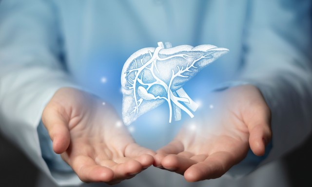 Orvosi siker: kettéosztott májat kapott két beteg a Semmelweis Egyetemen