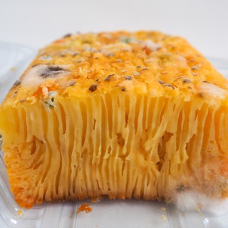 Penész a kenyéren vagy sajton – mikor menthető, és mikor kell kidobni? című cikk nyitóképe