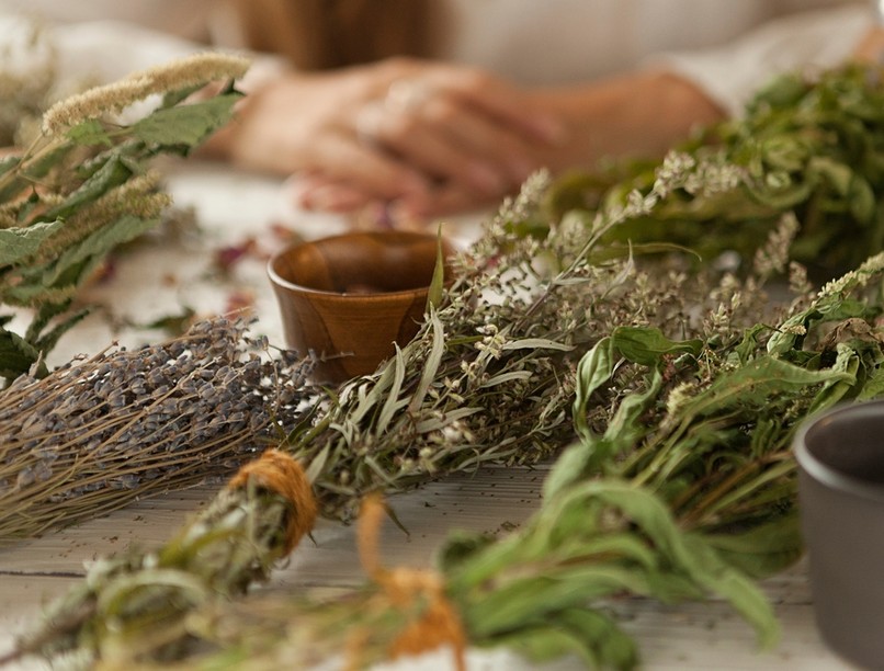 gyógynövény, füvesasszony, tarack, gyermekláncfű, bojtorjángyökér