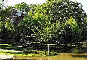 ÁNTSZ - és a Római-parton terjesztett szórólap